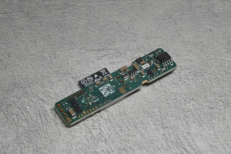 The underside at an angle.